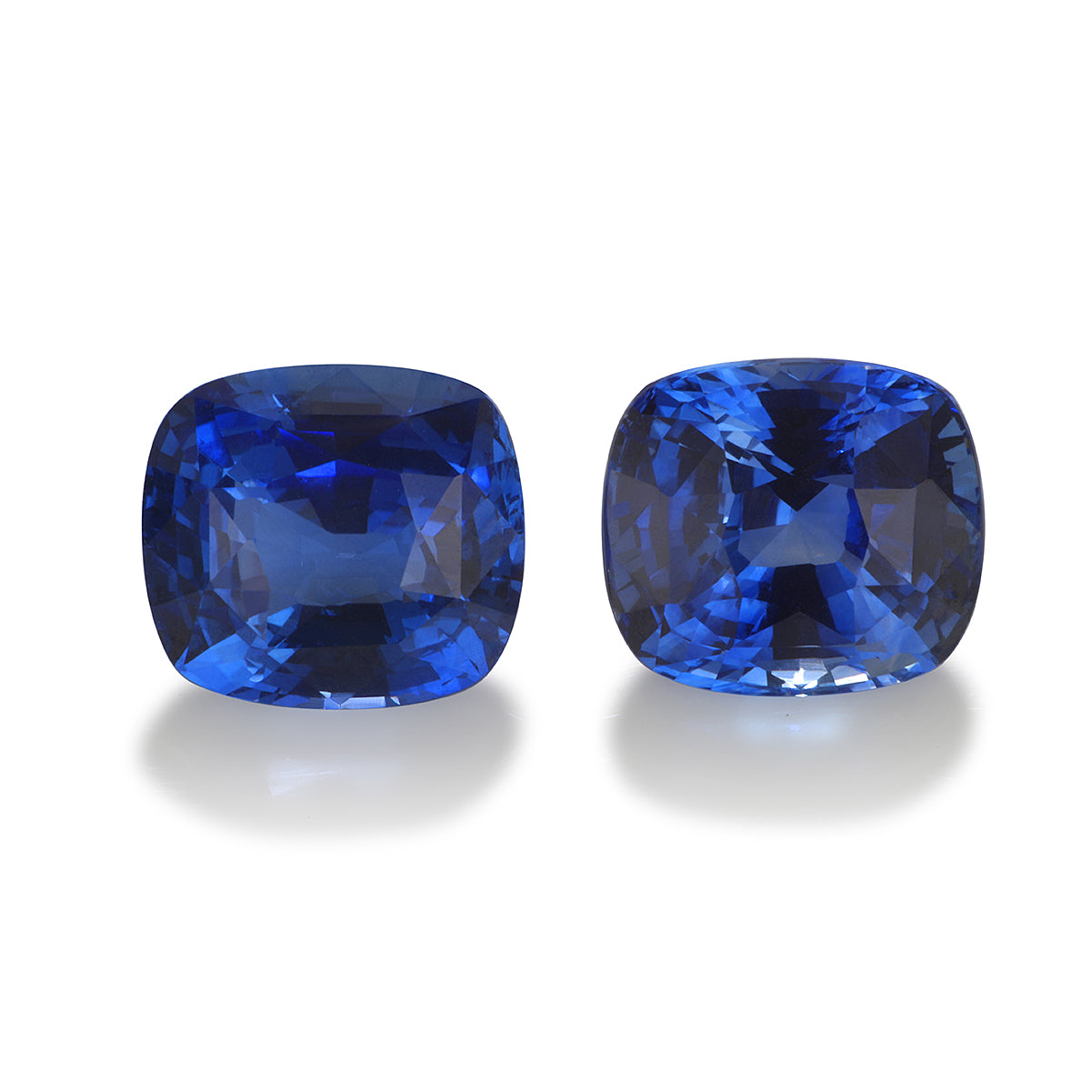 Shifting Seasons with Sapphire