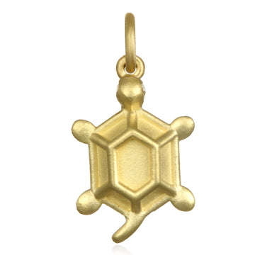 Turtle Charm