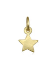 Star Charm